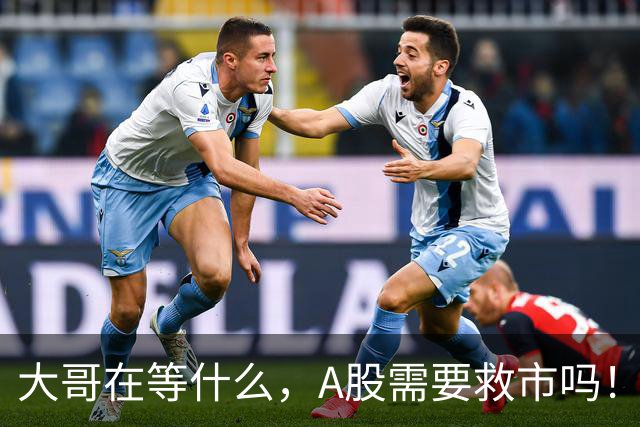 大哥在等什么，A股需要救市吗！